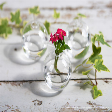 Vaso conjunto de broto de vidro transparente para flor curta